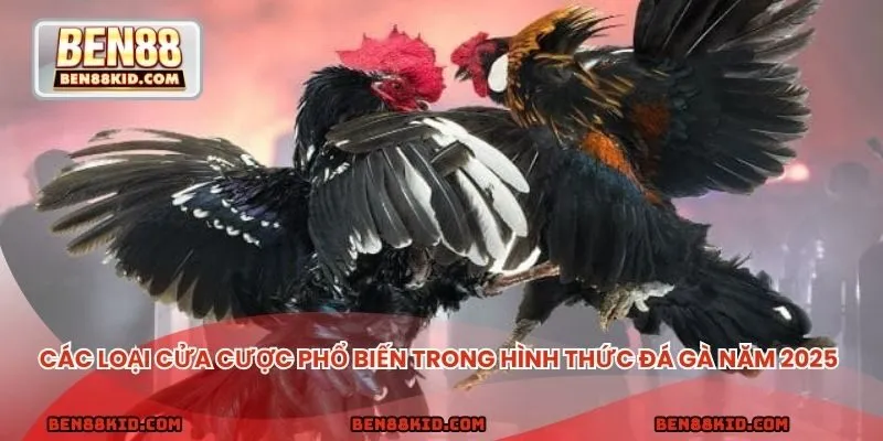 Các loại cửa cược phổ biến trong hình thức đá gà năm 2025