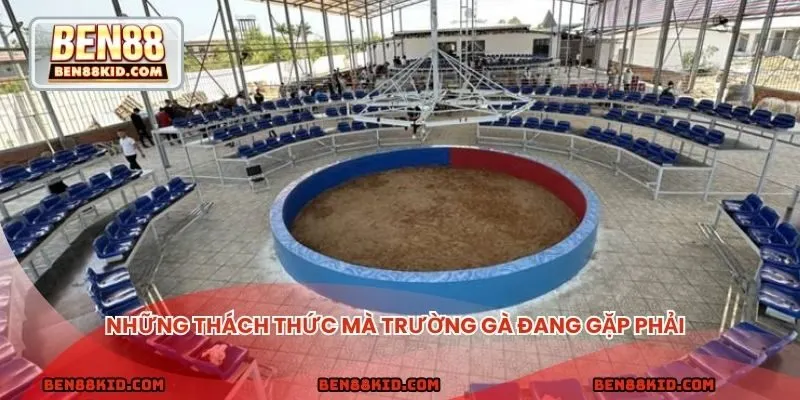 Những thách thức mà trường gà đang gặp phải 